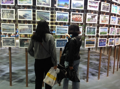 一天之内和陕西所有美景同框,这个展览做到了_旅游_网