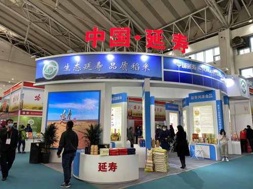 第三届中国 黑龙江国际大米节在哈尔滨开幕 组图